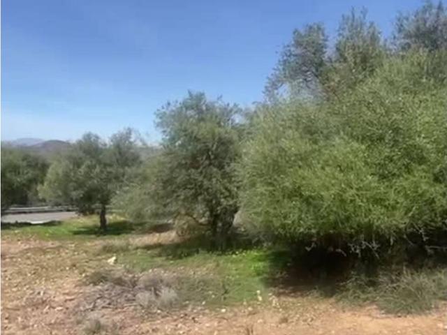 Terreno en venta en Estación de Cártama, Valle del Guadalhorce
