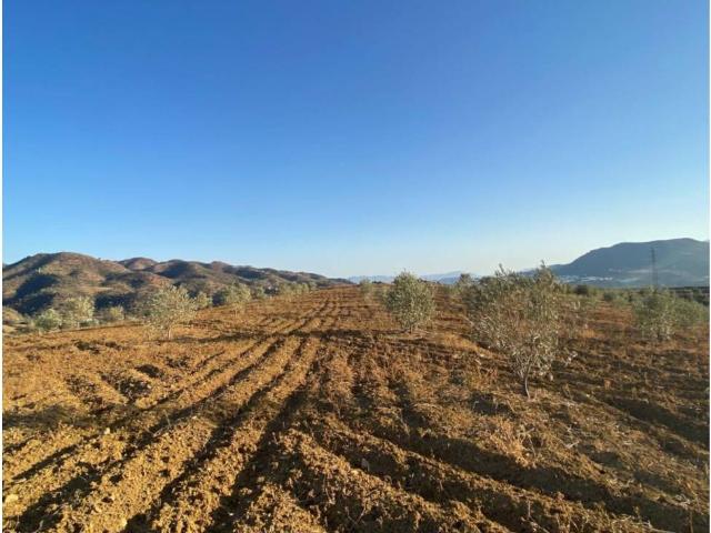 Terreno en venta en Las Mellizas Estación, Valle del Guadalhorce