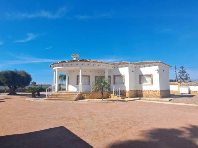 Estudio en alquiler en Rincón de los Pablos, Crevillent