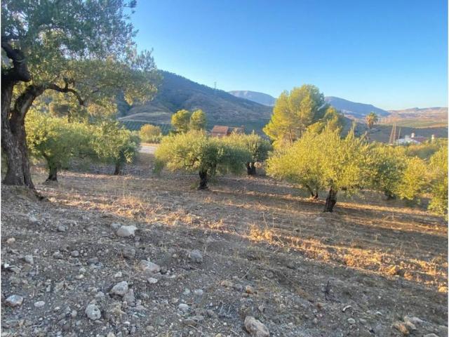 Terreno en venta en El Puente, Valle del Guadalhorce