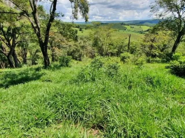 Fazenda venda em Região Imediata de Itapeva, Itapeva