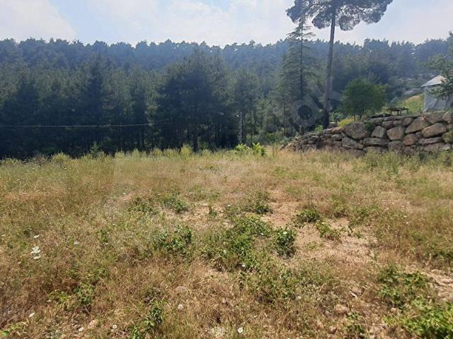 Çamliyayla, Mersin içerisinde satılık Arsa