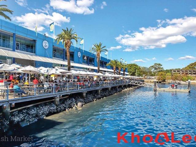 Apartment for rent in Sydney, New South Wales
