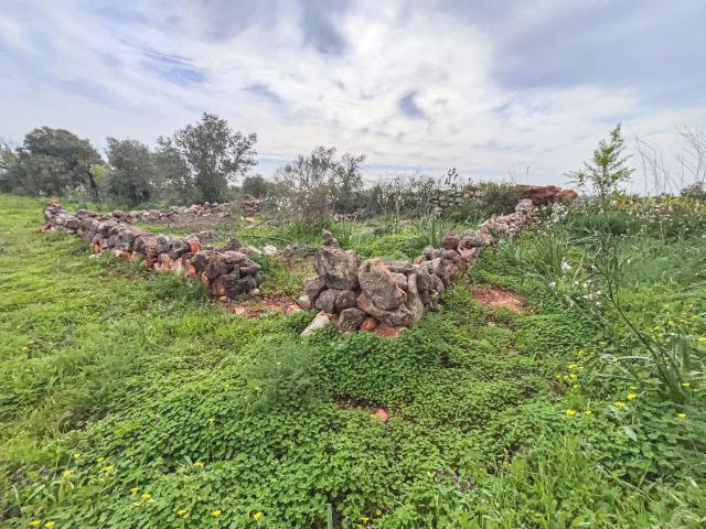 Terreno venda em São Bartolomeu De Messines, Faro