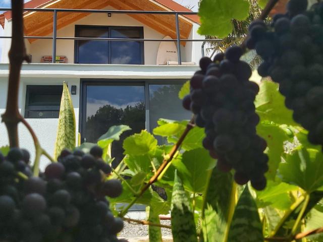 Casa alugar em São Vicente, Ilha Da Madeira