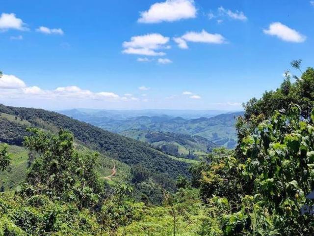 Sítio e chácara venda em Região Geográfica Imediata de Itajubá, Paraisópolis