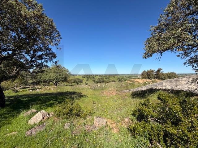 Terreno venda em Bairro da Lage, Viana Do Alentejo