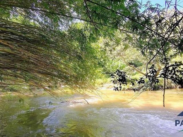 Sítio e chácara venda em Região Geográfica Imediata de Itajubá, Paraisópolis