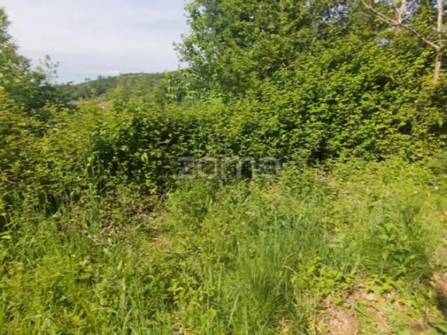 Terreno venda em Guarda, Seia