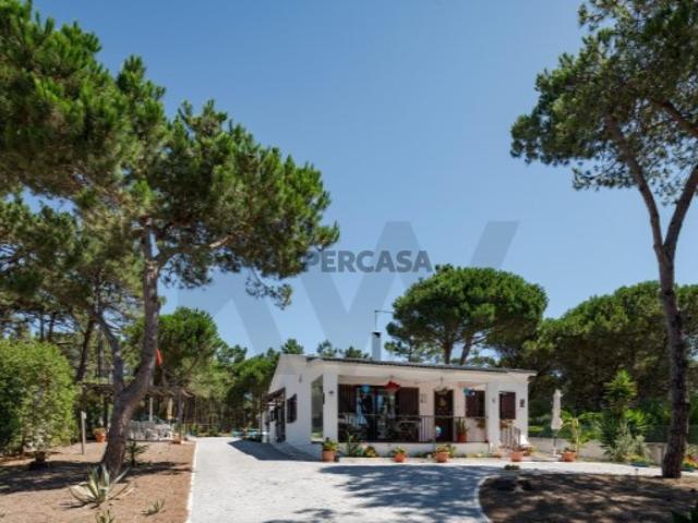Terreno venda em Sintra, Lisboa