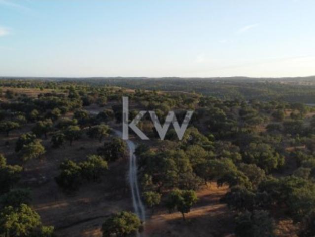 Terreno venda em Figueira dos Cavaleiros, Ferreira Do Alentejo