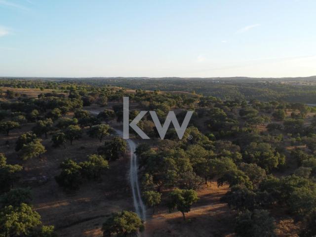 Terreno venda em Figueira dos Cavaleiros, Ferreira Do Alentejo