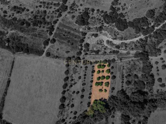 Terreno venda em Mem Moniz, Albufeira