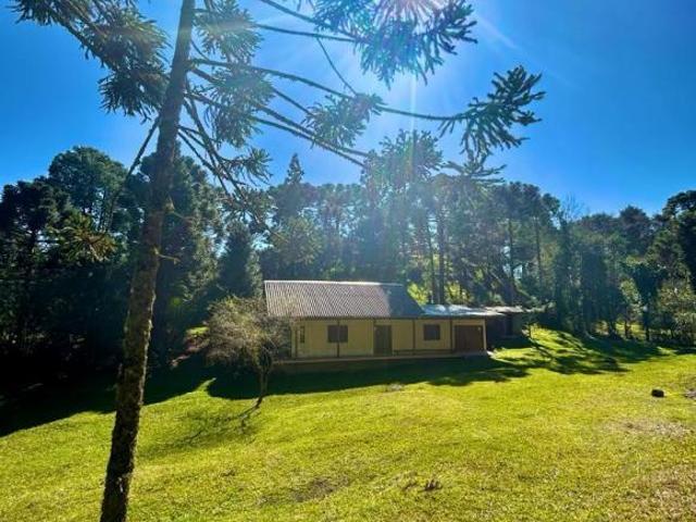Sítio e chácara venda em Região Geográfica Imediata de Caxias do Sul, São Francisco de Paula