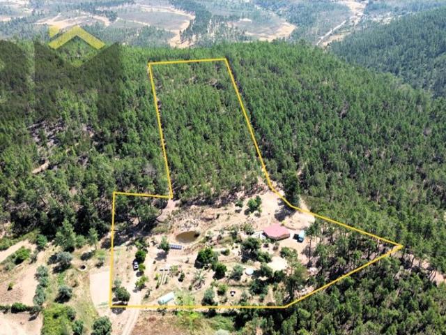 Quinta venda em Castelo Branco