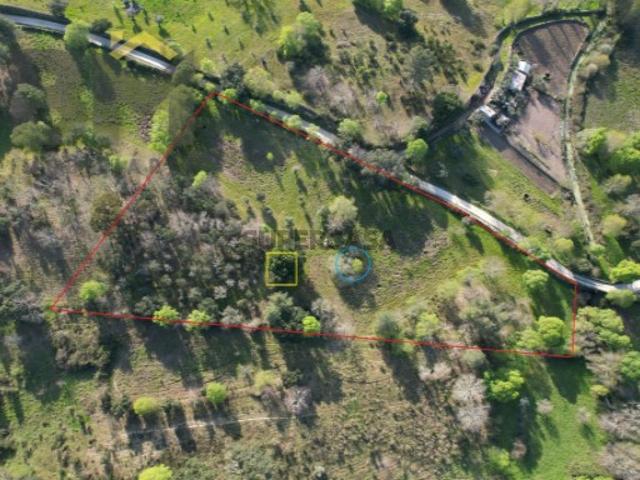 Terreno venda em Castelo Branco, Penamacor