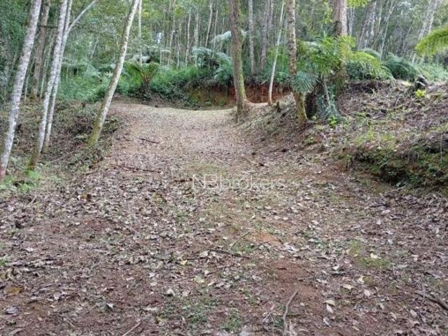 Sítio e chácara venda em Região Geográfica Imediata de Curitiba, Região Metropolitana de Curitiba
