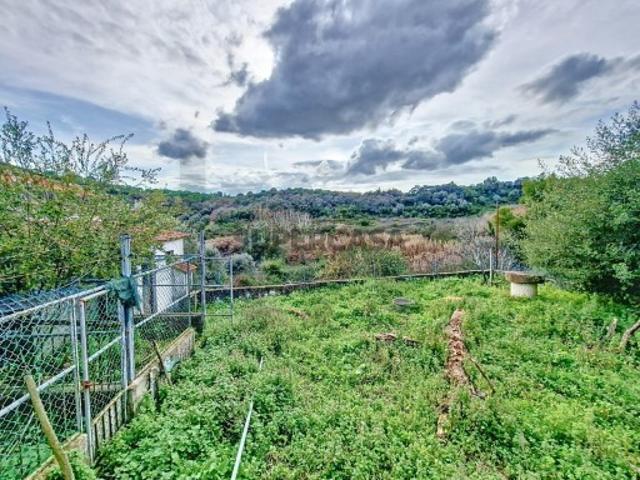 Casa venda em Almoster, Santarém