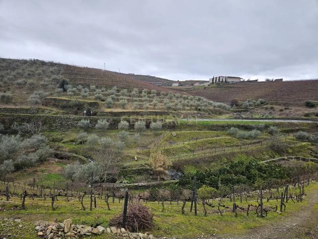 Terreno venda em Nagoselo Do Douro, Viseu