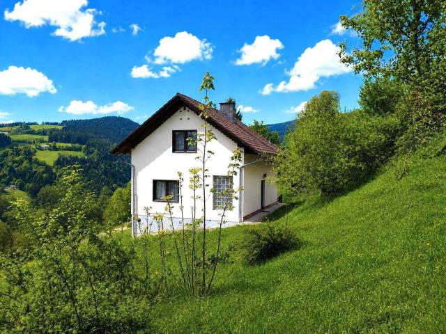 Haus kaufen in St. Lorenzen am Wechsel, Steiermark