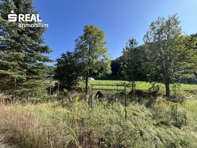Grundstück kaufen in Steinbach, Fuschl am See