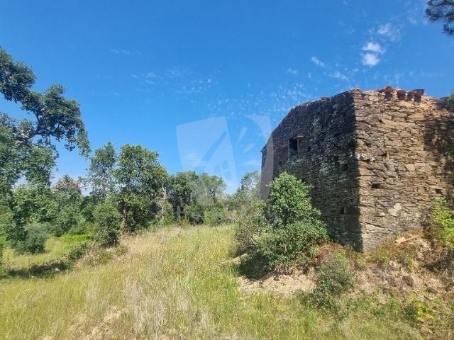 Quinta venda em Castelo Branco