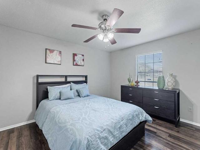 Apartment for rent in Dallas, Texas