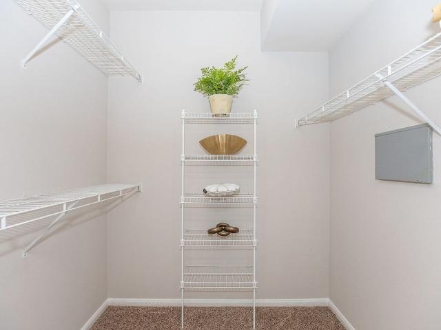 Apartment for rent in Harris, Texas