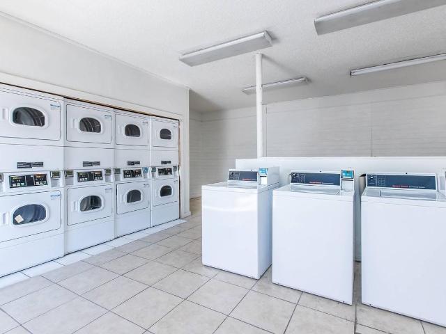 Apartment for rent in Tampa, Florida