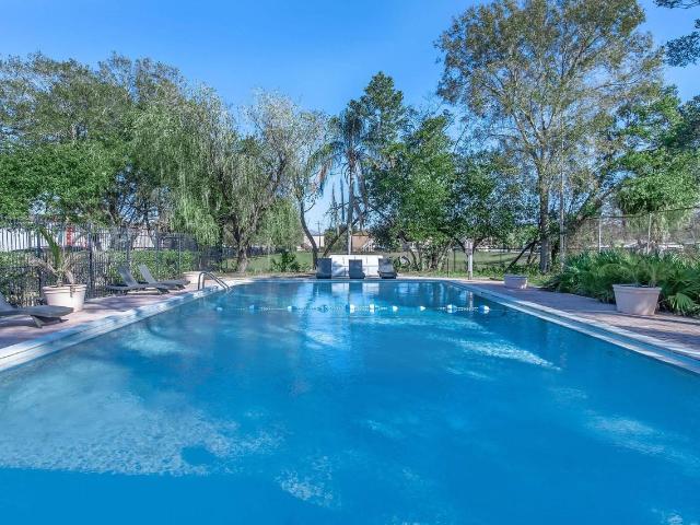 Apartment for rent in Tampa, Florida