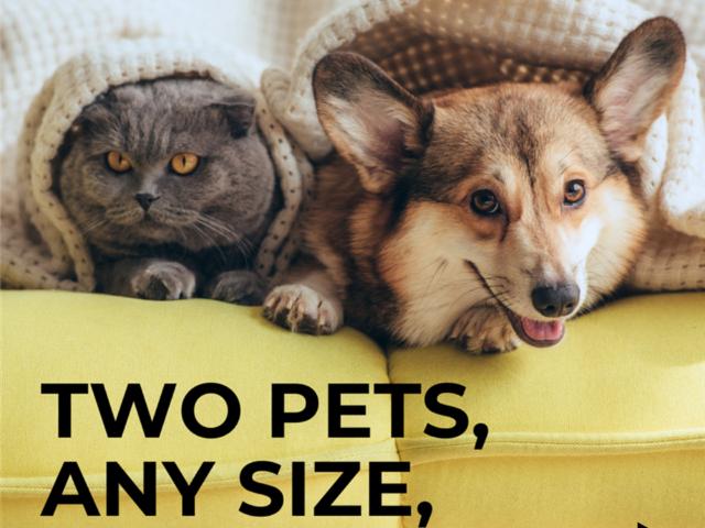 Apartment for rent in Lehigh, Pennsylvania