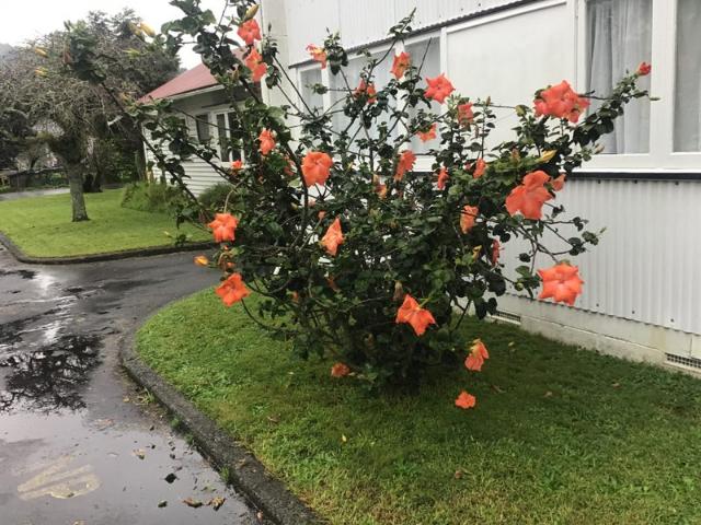 Apartment for rent in Whangarei, Northland