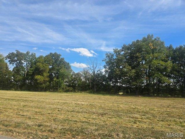 Land for sale in Dexter, Stoddard County