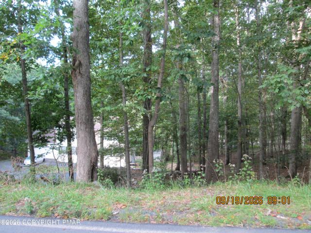 Land for sale in Saw Creek, Lehman Township