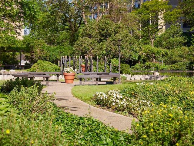 Apartment for rent in Chicago Park, Illinois