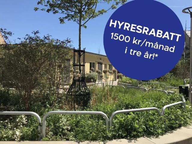 Lägenhet hyra i Gotland, Skåne