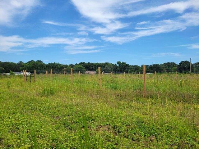 Land for sale in Johns Island