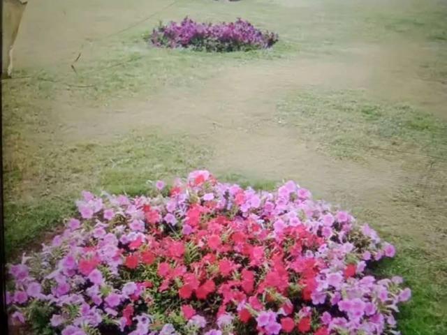 Land for sale in Peshawar, North West Frontier Province