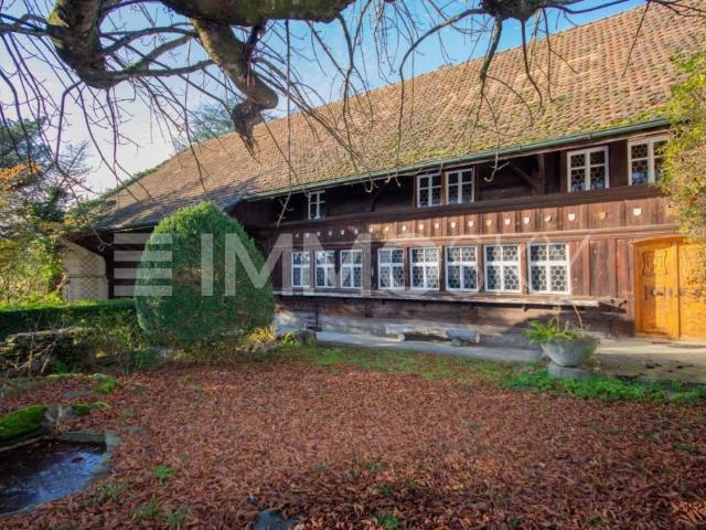 Einfamilienhaus kaufen in Meisterschwanden, Aargau