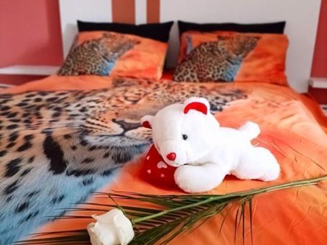 Apartament închirieri în Bos, Hunedoara