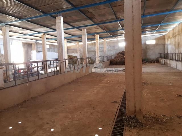 Maison vente à Azrou