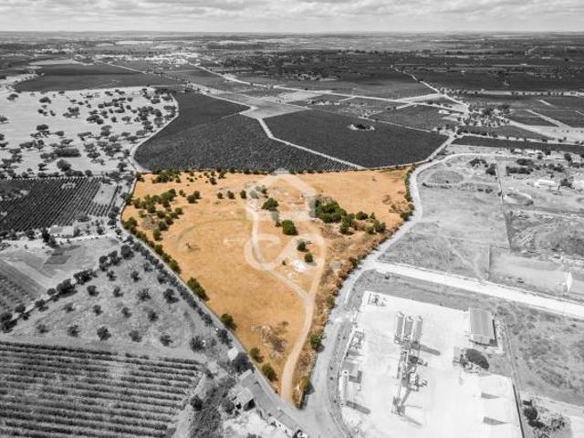 Terreno venda em Reguengos De Monsaraz, Évora