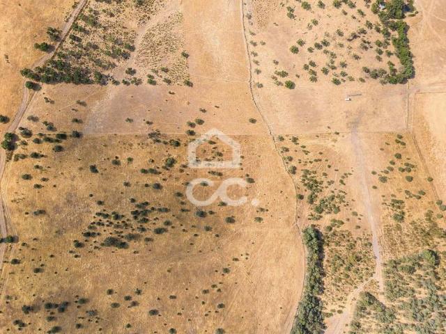 Terreno venda em Reguengos de Monsaraz, Évora