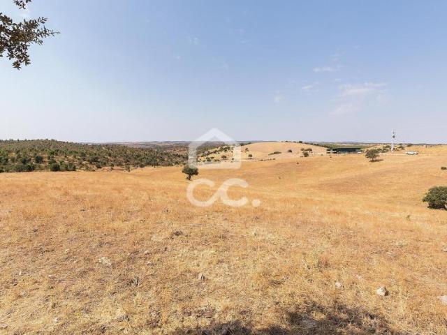 Terreno venda em Reguengos De Monsaraz, Évora