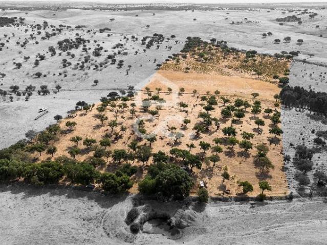 Terreno venda em Reguengos De Monsaraz, Évora