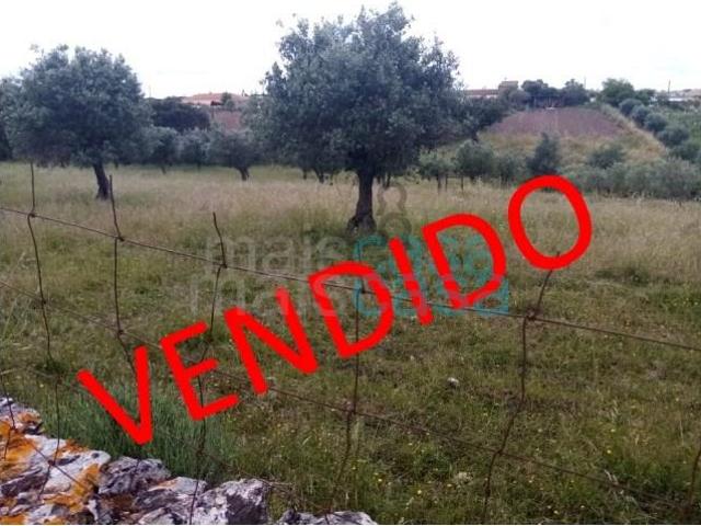 Terreno venda em Reguengos De Monsaraz, Évora