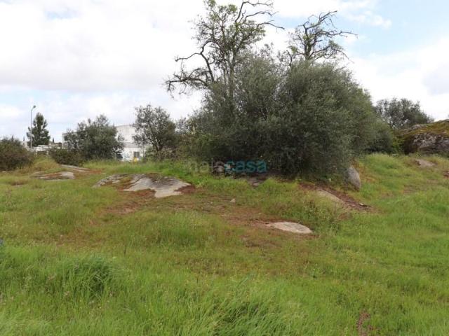 Terreno venda em Reguengos De Monsaraz, Évora