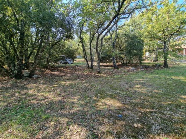 Terrain vente à Régusse, Var