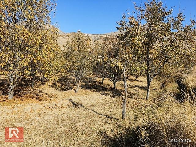 Üzümlü, Erzincan içerisinde satılık Arsa
