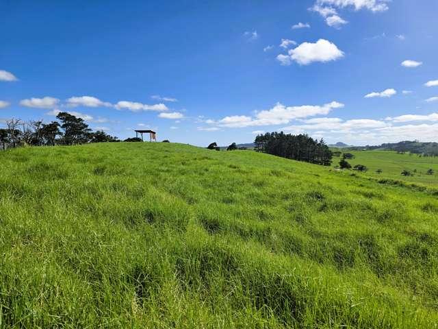 Property for sale in Rapuwai, Northland